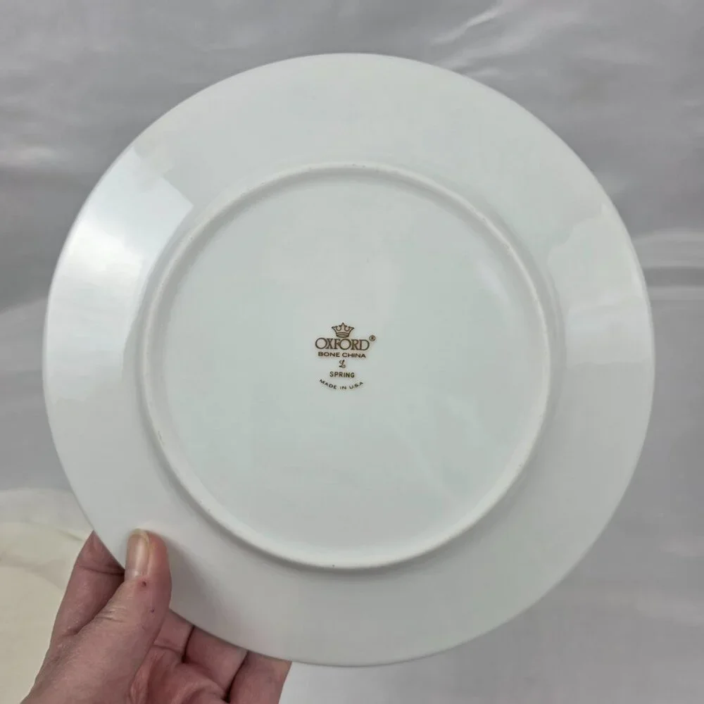 FOUR Oxford China Spring Salad Plate Multicolor Floral Rim Aqua Band
